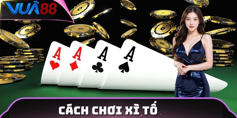 Tổng hợp chiến lược cách chơi xì tố