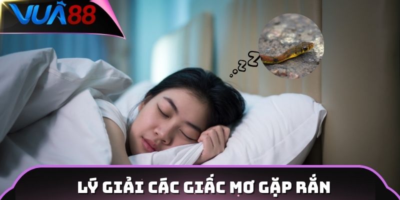 Lý giải các giấc mơ gặp rắn