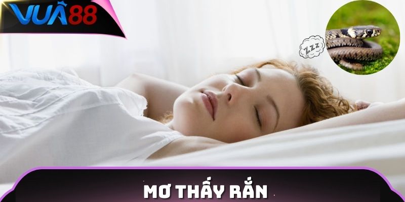 Mơ thấy rắn