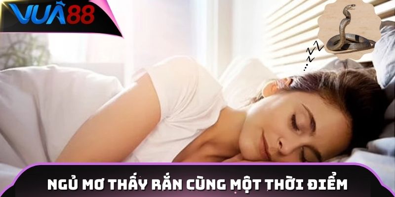 Ngủ mơ thấy rắn cùng một thời điểm