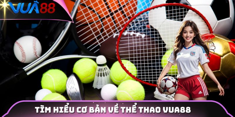 Tìm hiểu cơ bản về thể thao VUA88