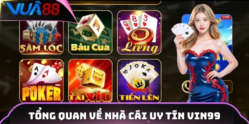 Tổng quan về nhà cái uy tín Vin99